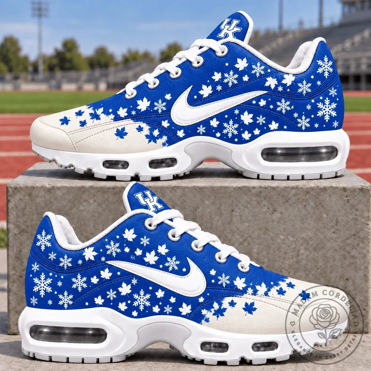 Kentucky Wildcats Fall Snowflakes Maple Leaves Air Max Shoes