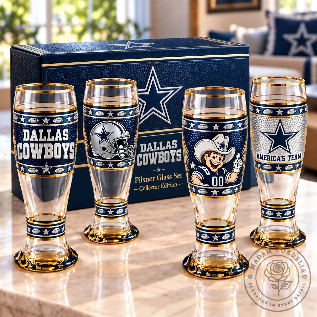 Dallas Cowboys Football Team Pilsner Drinking Glass Set